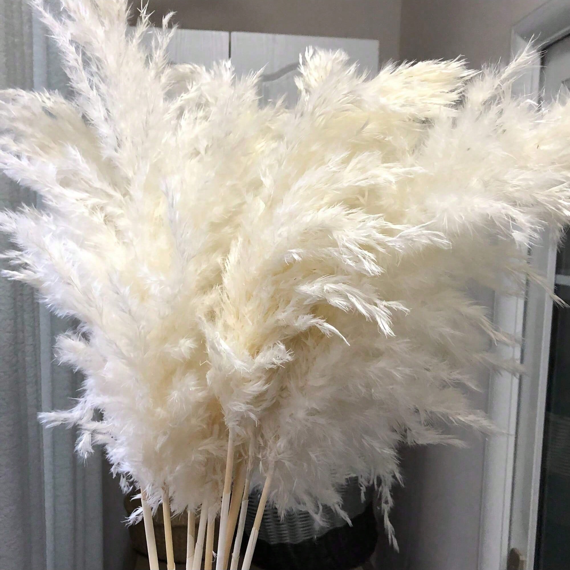 Pampas Grass Decor - 10/20/30pcs White Artificial Pampas Grass Decor